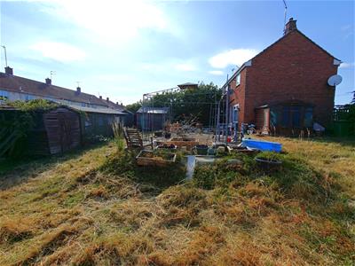 Picture 20